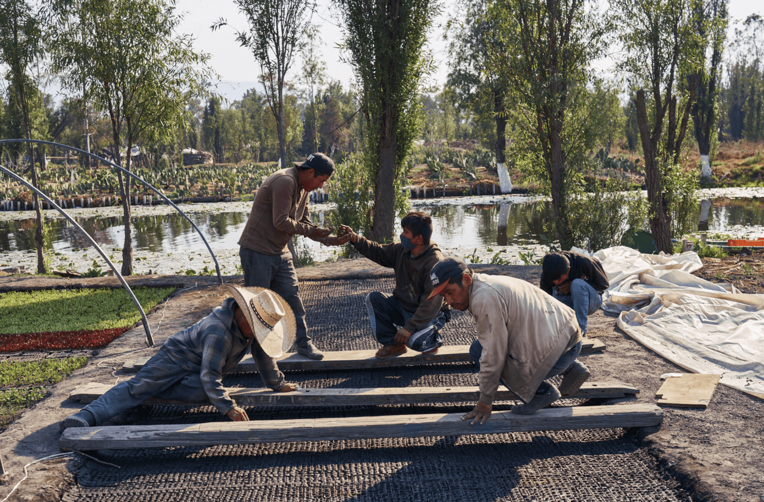 Mexico’s Floating Gardens Are An Ancient Wonder Of Sustainable Farming ...